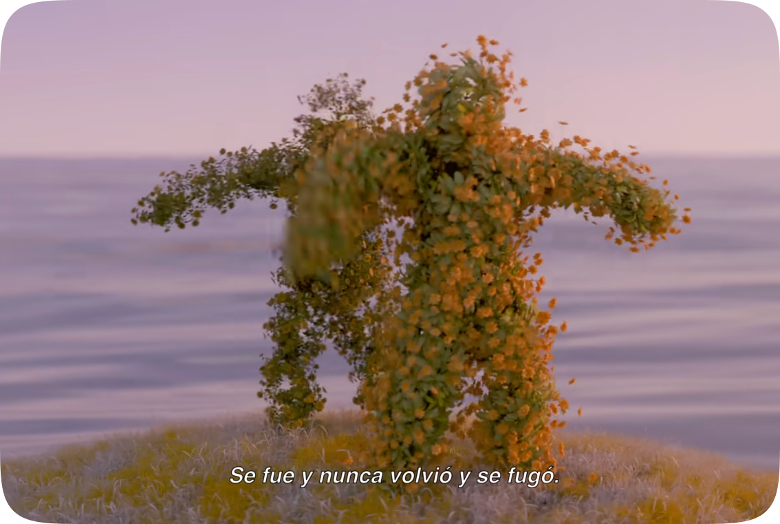 VIDEO 14