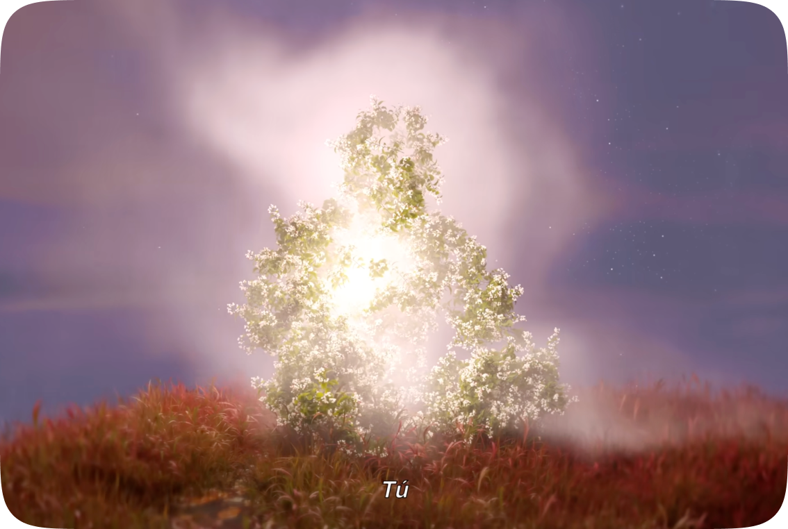 VIDEO 15