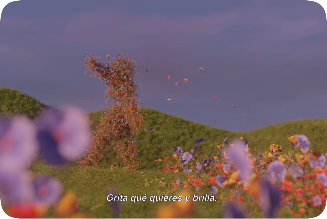 VIDEO 17