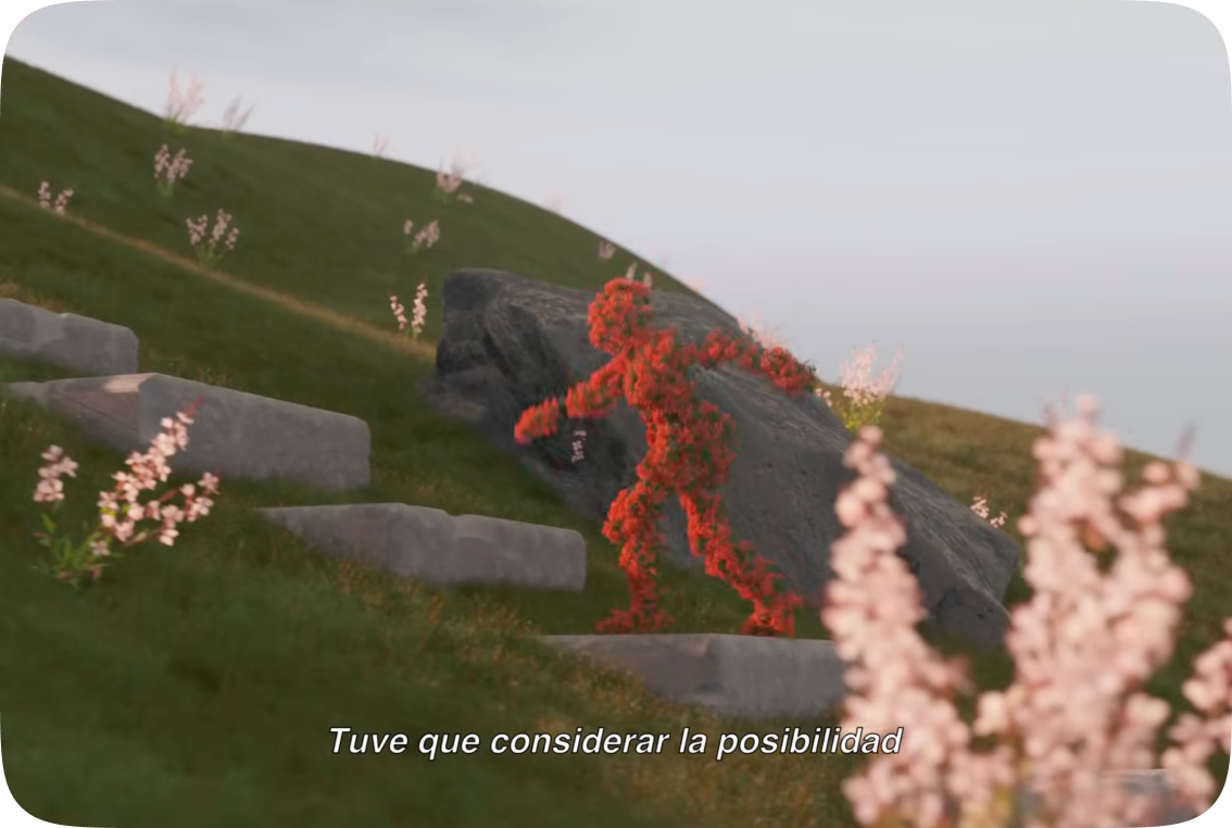 VIDEO 21